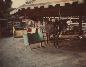 alt="early carnival rides powered by mule"