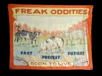 Fred Johnson Sideshow Banner Freak Oddoties