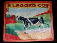 Fred Johnson Sideshow Banner 5 Legged Cow