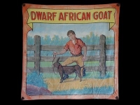 Fred Johnson Sideshow Banner Dwarf African Goat