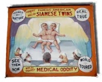 Fred Johnson Sideshow Banner Siamese Twins