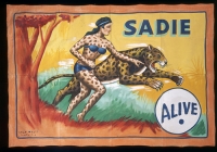 Museum Snap Whatt Banner Sadie.jpg Museum Snap Whatt Banner Sadie.jpg