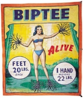 Museum Snap Wyatt Banner Biptee.jpg Museum Snap Wyatt Banner Biptee.jpg