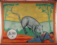 Museum Snap Wyatt Banner Rat.jpg Museum Snap Wyatt Banner Rat.jpg