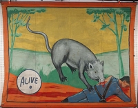 Museum Snap Wyatt Banner Rat.jpg