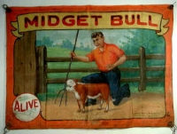 Fred Johnson Sideshow Banner Midget Bull.